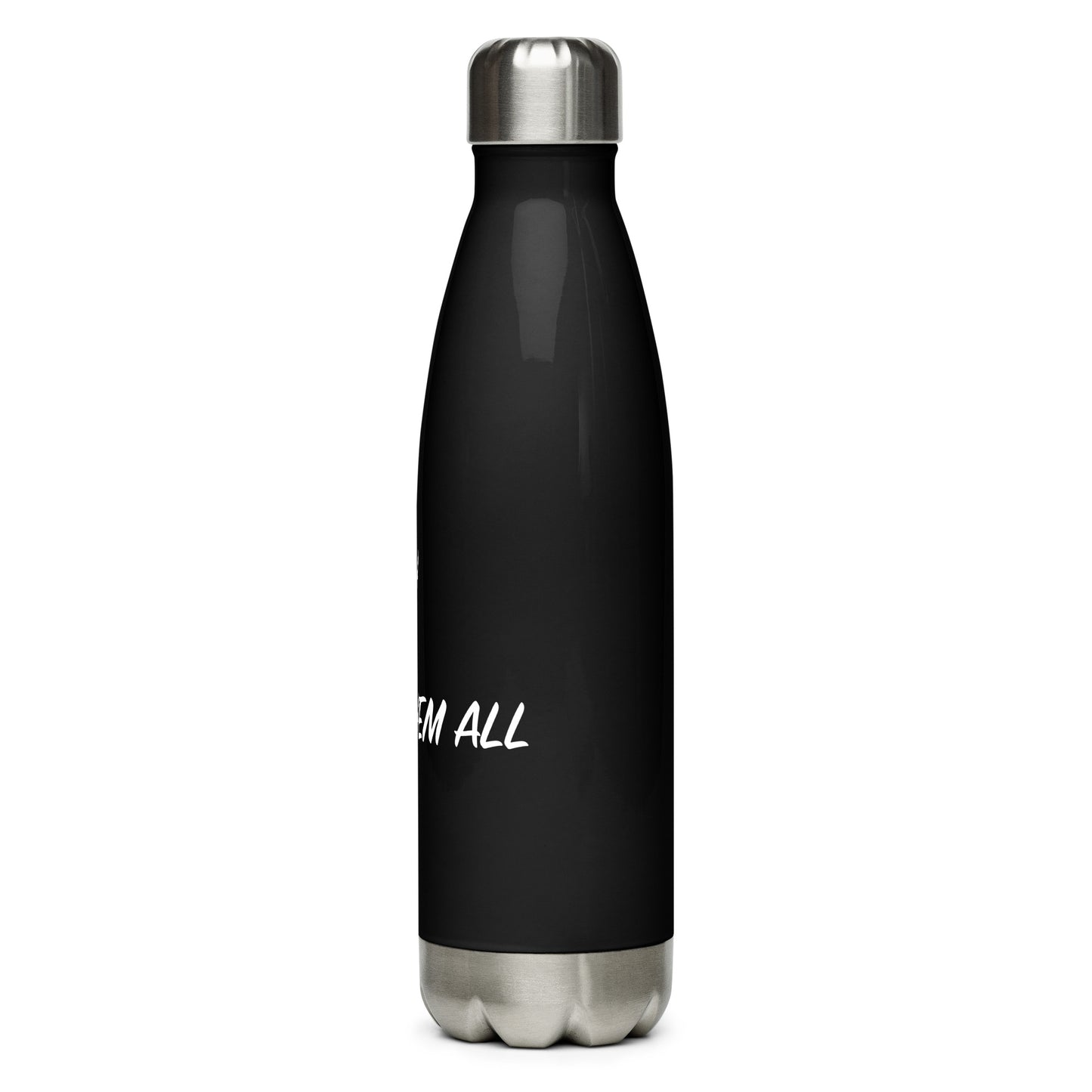 Stainless Water Bottle - "Preach, Pray, Heal them All" - Black -17 oz